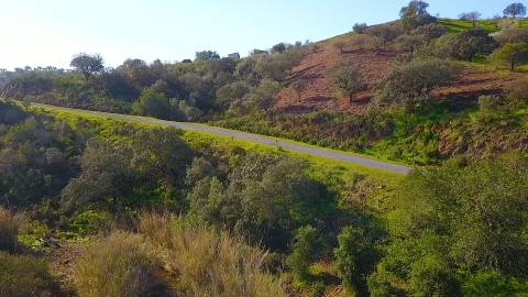 TERRENO RUSTICO COM 11.000 M2 - BONS ACESSOS - ALCARIAS GRANDES - CASTRO MARIM - ALGARVE