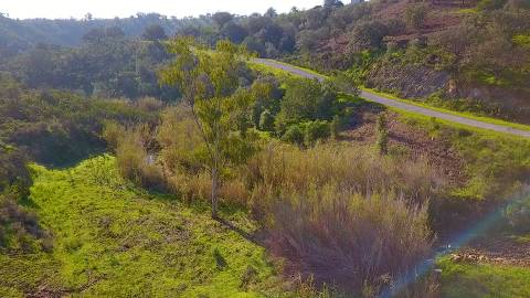 TERRENO RUSTICO COM 11.000 M2 - BONS ACESSOS - ALCARIAS GRANDES - CASTRO MARIM - ALGARVE