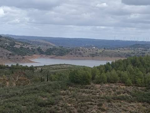 TERRENO COM 2.480 M2 - NA CHOÇA QUEIMADA - ODELEITE - CASTRO MARIM - ALGARVE