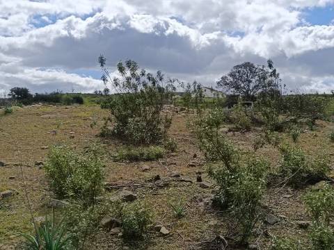 TERRENO COM 2.480 M2 - NA CHOÇA QUEIMADA - ODELEITE - CASTRO MARIM - ALGARVE