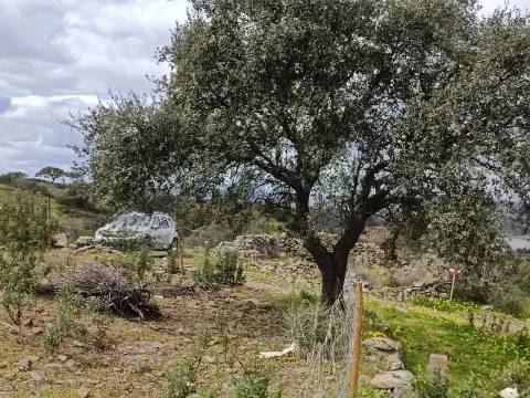 TERRENO COM 2.480 M2 - NA CHOÇA QUEIMADA - ODELEITE - CASTRO MARIM - ALGARVE