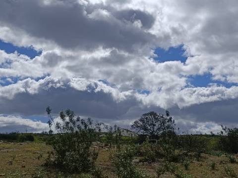 TERRENO COM 2.480 M2 - NA CHOÇA QUEIMADA - ODELEITE - CASTRO MARIM - ALGARVE