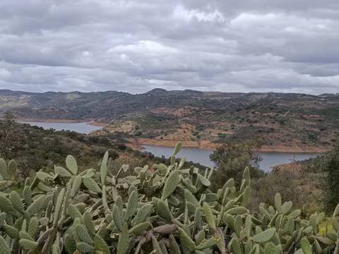 TERRENO COM 2.480 M2 - NA CHOÇA QUEIMADA - ODELEITE - CASTRO MARIM - ALGARVE
