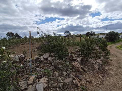 TERRENO COM 2.480 M2 - NA CHOÇA QUEIMADA - ODELEITE - CASTRO MARIM - ALGARVE