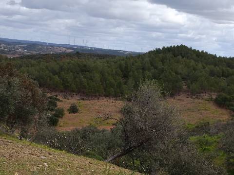 TERRENO COM 2.480 M2 - NA CHOÇA QUEIMADA - ODELEITE - CASTRO MARIM - ALGARVE