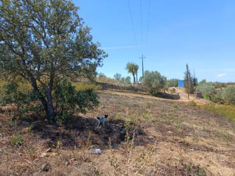 TERRENO COM 19.280 M2 - ALCARIA - ODELEITE - CASTRO MARIM - ALGARVE