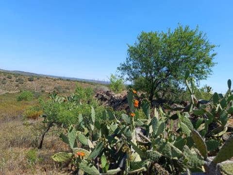 TERRENO COM 19.280 M2 - ALCARIA - ODELEITE - CASTRO MARIM - ALGARVE