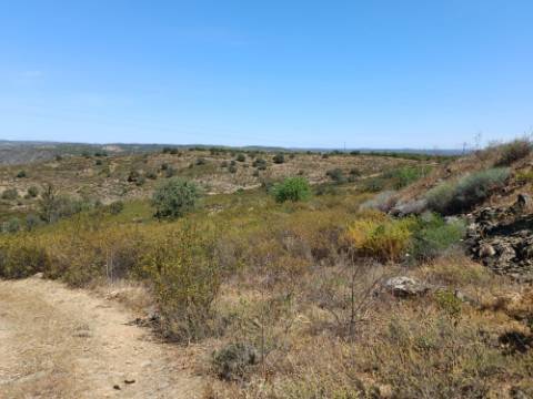 TERRENO COM 19.280 M2 - ALCARIA - ODELEITE - CASTRO MARIM - ALGARVE