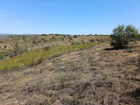 TERRENO COM 19.280 M2 - ALCARIA - ODELEITE - CASTRO MARIM - ALGARVE