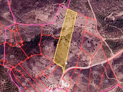 TERRENO COM 19.280 M2 - ALCARIA - ODELEITE - CASTRO MARIM - ALGARVE