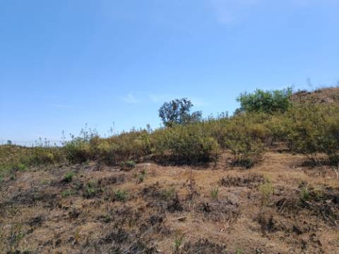 TERRENO COM 19.280 M2 - ALCARIA - ODELEITE - CASTRO MARIM - ALGARVE