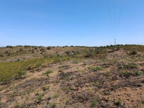 TERRENO COM 19.280 M2 - ALCARIA - ODELEITE - CASTRO MARIM - ALGARVE