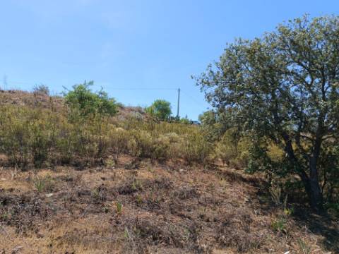 TERRENO COM 19.280 M2 - ALCARIA - ODELEITE - CASTRO MARIM - ALGARVE