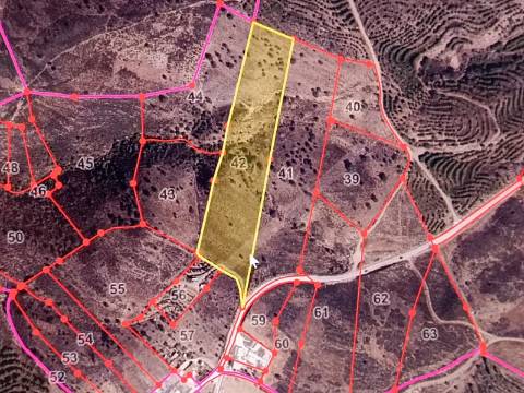 TERRENO COM 19.280 M2 - ALCARIA - ODELEITE - CASTRO MARIM - ALGARVE