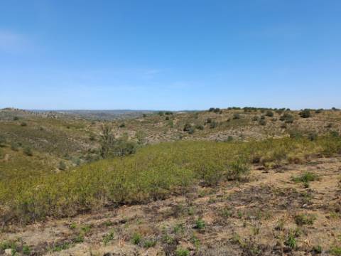 TERRENO COM 19.280 M2 - ALCARIA - ODELEITE - CASTRO MARIM - ALGARVE