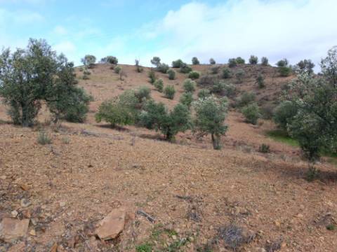 TERRENO RÚSTICO COM 5.640 M2 EM ALCARIAS GRANDES - CASTRO MARIM - ALGARVE