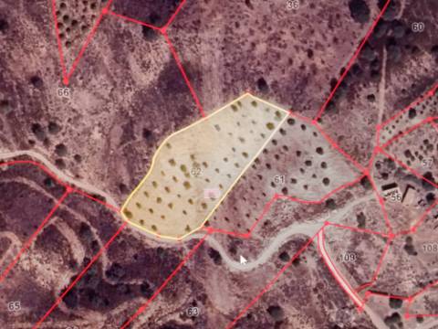 TERRENO RÚSTICO COM 5.640 M2 EM ALCARIAS GRANDES - CASTRO MARIM - ALGARVE