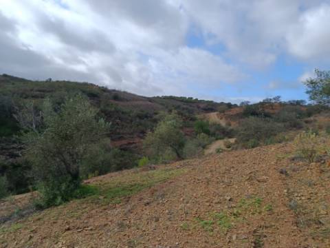 TERRENO RÚSTICO COM 5.640 M2 EM ALCARIAS GRANDES - CASTRO MARIM - ALGARVE