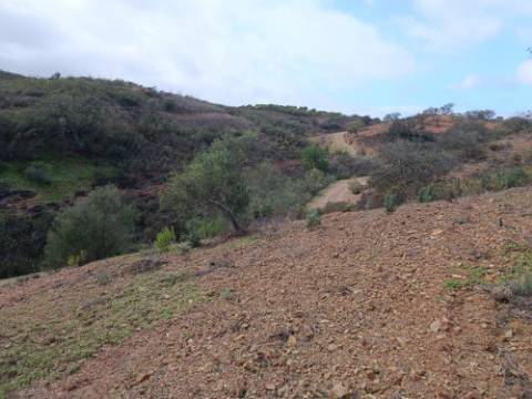 TERRENO RÚSTICO COM 5.640 M2 EM ALCARIAS GRANDES - CASTRO MARIM - ALGARVE