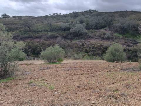 TERRENO RÚSTICO COM 5.640 M2 EM ALCARIAS GRANDES - CASTRO MARIM - ALGARVE