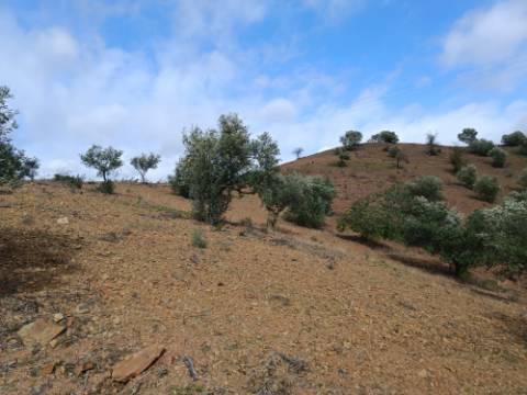 TERRENO RÚSTICO COM 5.640 M2 EM ALCARIAS GRANDES - CASTRO MARIM - ALGARVE