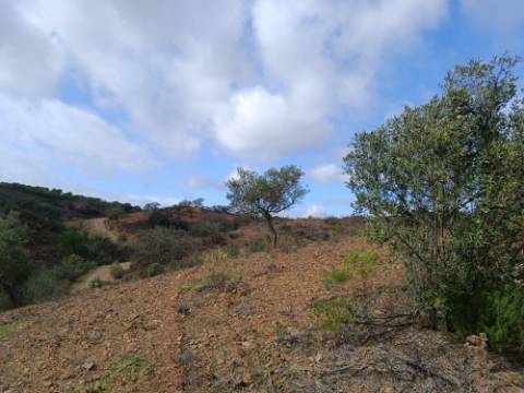 TERRENO RÚSTICO COM 5.640 M2 EM ALCARIAS GRANDES - CASTRO MARIM - ALGARVE