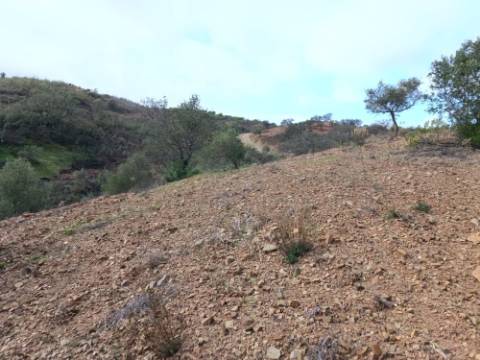 TERRENO RÚSTICO COM 5.640 M2 EM ALCARIAS GRANDES - CASTRO MARIM - ALGARVE