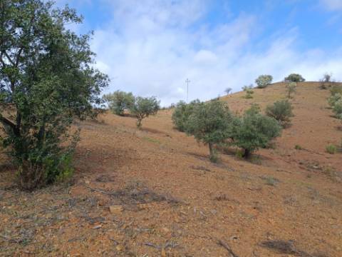 TERRENO RÚSTICO COM 5.640 M2 EM ALCARIAS GRANDES - CASTRO MARIM - ALGARVE