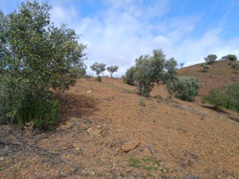 TERRENO RÚSTICO COM 5.640 M2 EM ALCARIAS GRANDES - CASTRO MARIM - ALGARVE