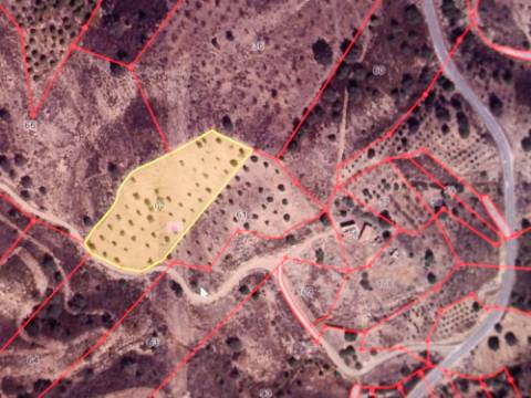 TERRENO RÚSTICO COM 5.640 M2 EM ALCARIAS GRANDES - CASTRO MARIM - ALGARVE