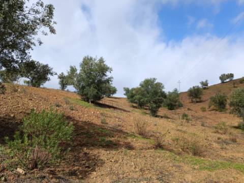 TERRENO RÚSTICO COM 5.640 M2 EM ALCARIAS GRANDES - CASTRO MARIM - ALGARVE