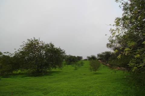 Terreno para turismo rural 5 estrelas com 120 quartos e 240 camas