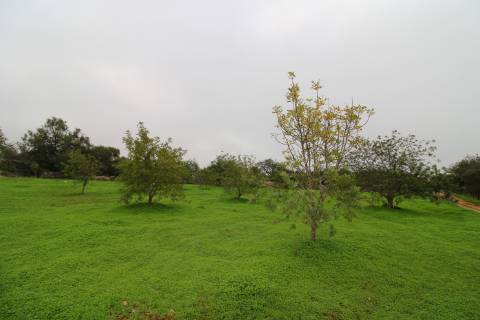 Terreno para turismo rural 5 estrelas com 120 quartos e 240 camas