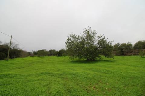 Terreno para turismo rural 5 estrelas com 120 quartos e 240 camas