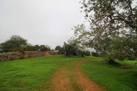 Terreno para turismo rural 5 estrelas com 120 quartos e 240 camas