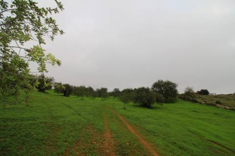 Terreno para turismo rural 5 estrelas com 120 quartos e 240 camas