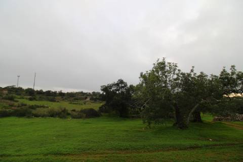 Terreno para turismo rural 5 estrelas com 120 quartos e 240 camas