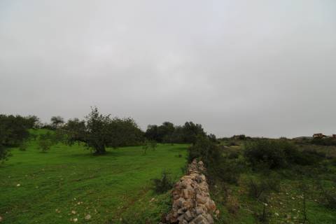 Terreno para turismo rural 5 estrelas com 120 quartos e 240 camas