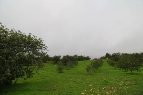 Terreno para turismo rural 5 estrelas com 120 quartos e 240 camas