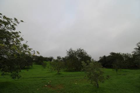 Terreno para turismo rural 5 estrelas com 120 quartos e 240 camas