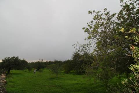 Terreno para turismo rural 5 estrelas com 120 quartos e 240 camas