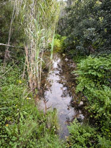 TERRENO COM 8.760 M2 - COM POÇO - EM PISA BARRO - CASTRO MARIM - ALGARVE