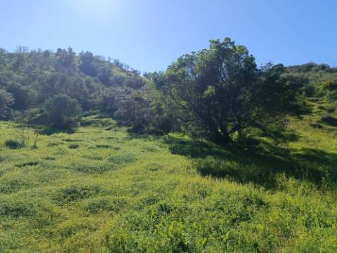 TERRENO COM 8.760 M2 - COM POÇO - EM PISA BARRO - CASTRO MARIM - ALGARVE