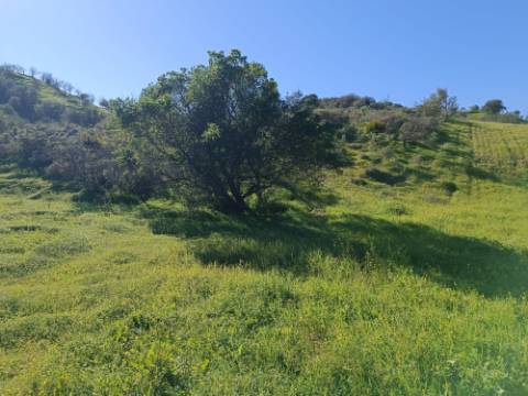TERRENO COM 8.760 M2 - COM POÇO - EM PISA BARRO - CASTRO MARIM - ALGARVE