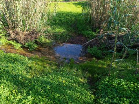 TERRENO COM 8.760 M2 - COM POÇO - EM PISA BARRO - CASTRO MARIM - ALGARVE