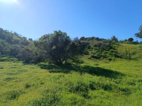TERRENO COM 8.760 M2 - COM POÇO - EM PISA BARRO - CASTRO MARIM - ALGARVE