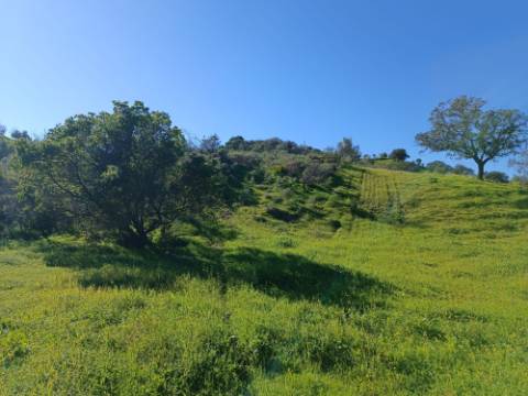 TERRENO COM 8.760 M2 - COM POÇO - EM PISA BARRO - CASTRO MARIM - ALGARVE