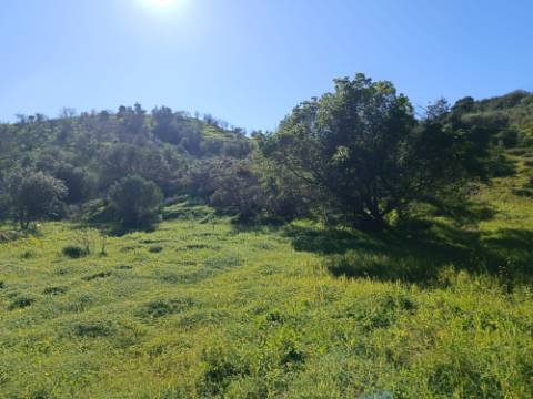 TERRENO COM 8.760 M2 - COM POÇO - EM PISA BARRO - CASTRO MARIM - ALGARVE