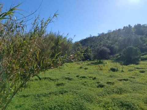 TERRENO COM 8.760 M2 - COM POÇO - EM PISA BARRO - CASTRO MARIM - ALGARVE