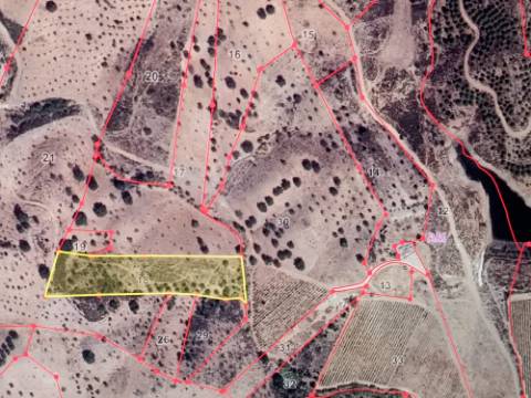 TERRENO COM 8.760 M2 - COM POÇO - EM PISA BARRO - CASTRO MARIM - ALGARVE